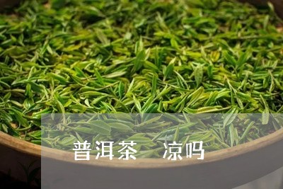 普洱茶 凉吗/2023042756572